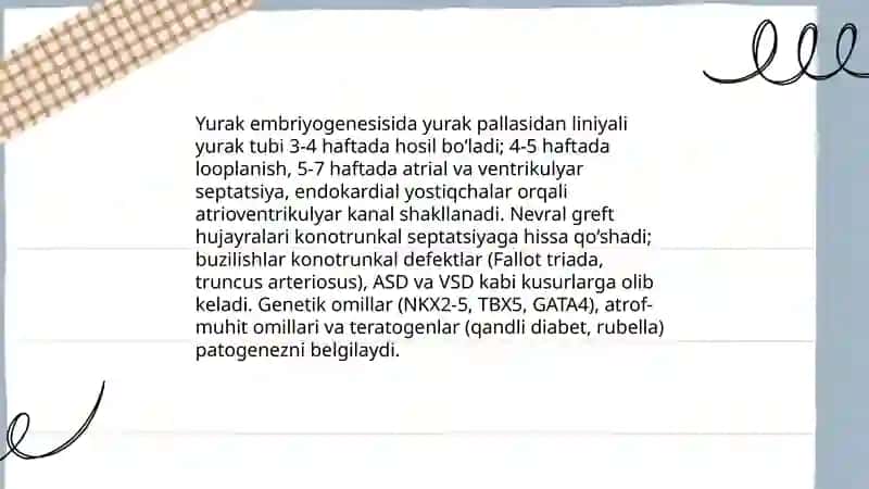 Yurak qon tomirlar tizimini rivojlanish nuqsonlar 4