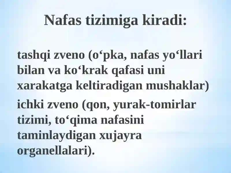 Nafas olish tizimining fiziologiyasi 4