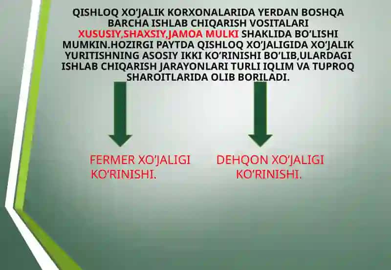 DAVLATNING AGRAR SIYOSATI 4