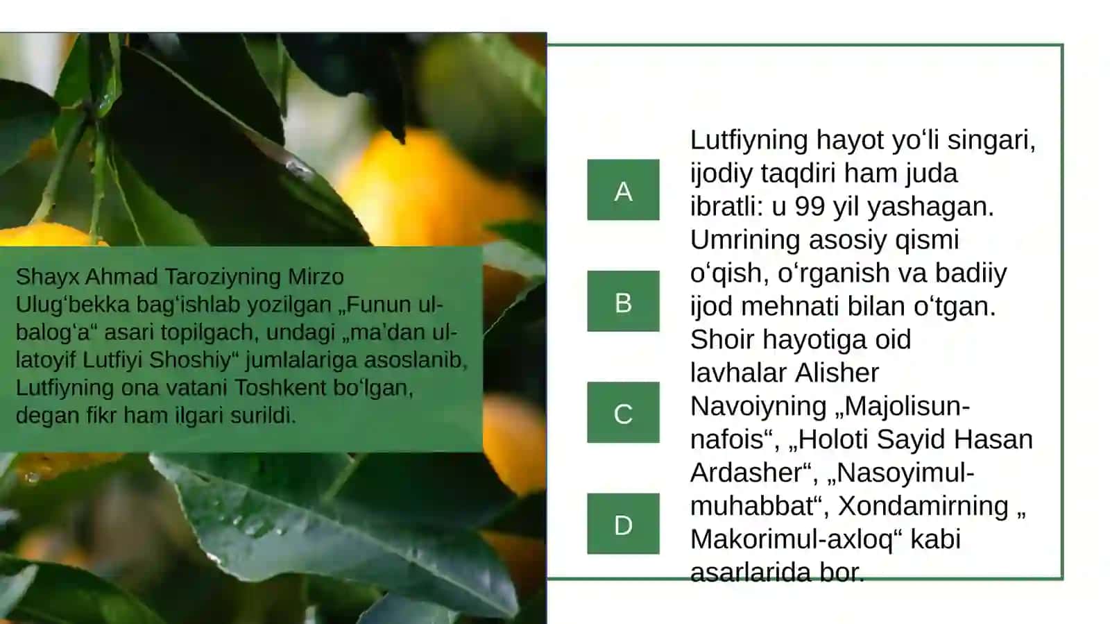 Lutfiy va Haydar Xorazmiy ijodi 4