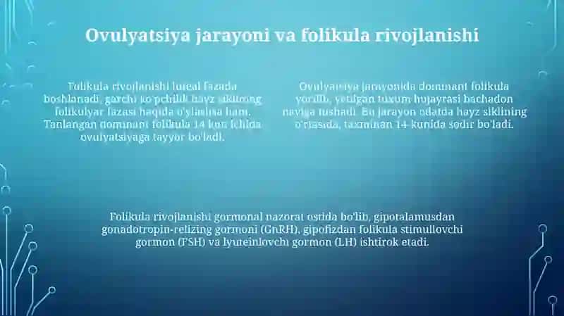 Mensturalsikl va ovulyatsiya jarayonlari 4
