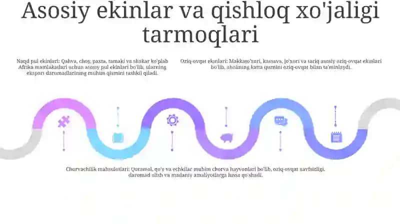 Afrikani Oziq Ovqat Sanoati 4