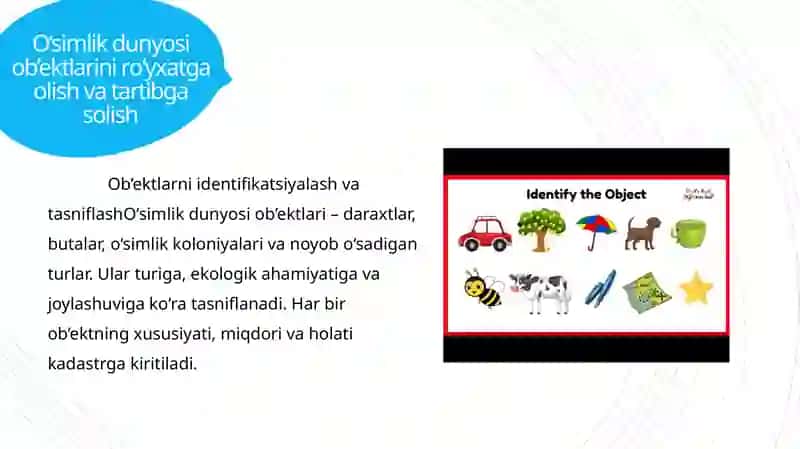 O'simlik dunyosi obtektlari davlat kadastri 4