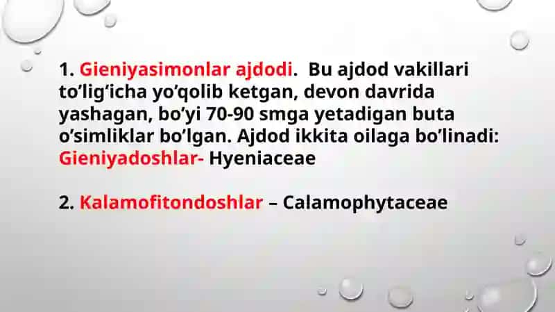QIRQBO'G'IMTOIFA O'SIMLIKLAR EVALUTSIYASI 4