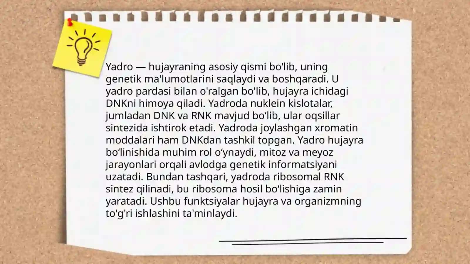 Eukariot hujayralar 4