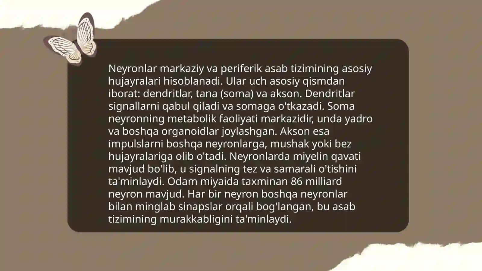 Odam nerv sistemasi anatomiyasi 4