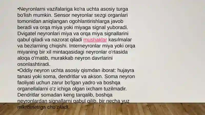 Neyron. Uning tuzilishi va vazifalari 4