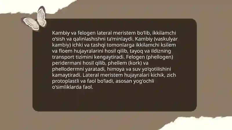 Oʻsimlik Tóqimalari 4