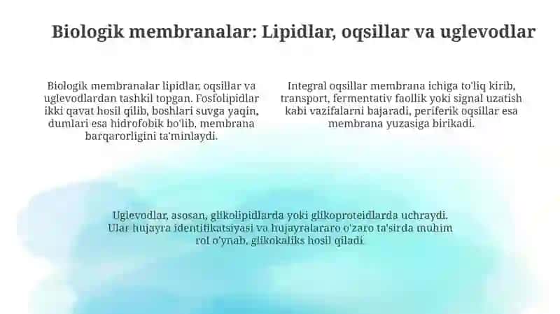 Plazmolemma biologik membranalar tuzilishi 4