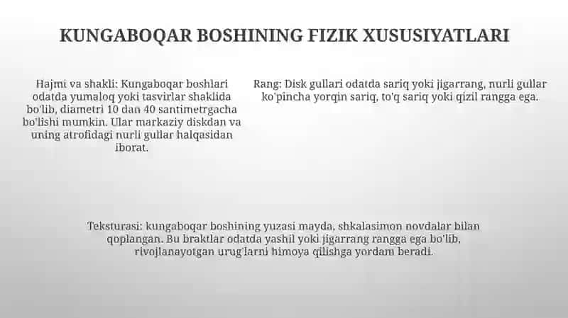 Kungaboqar Òsimligining Morfologiyasi 4