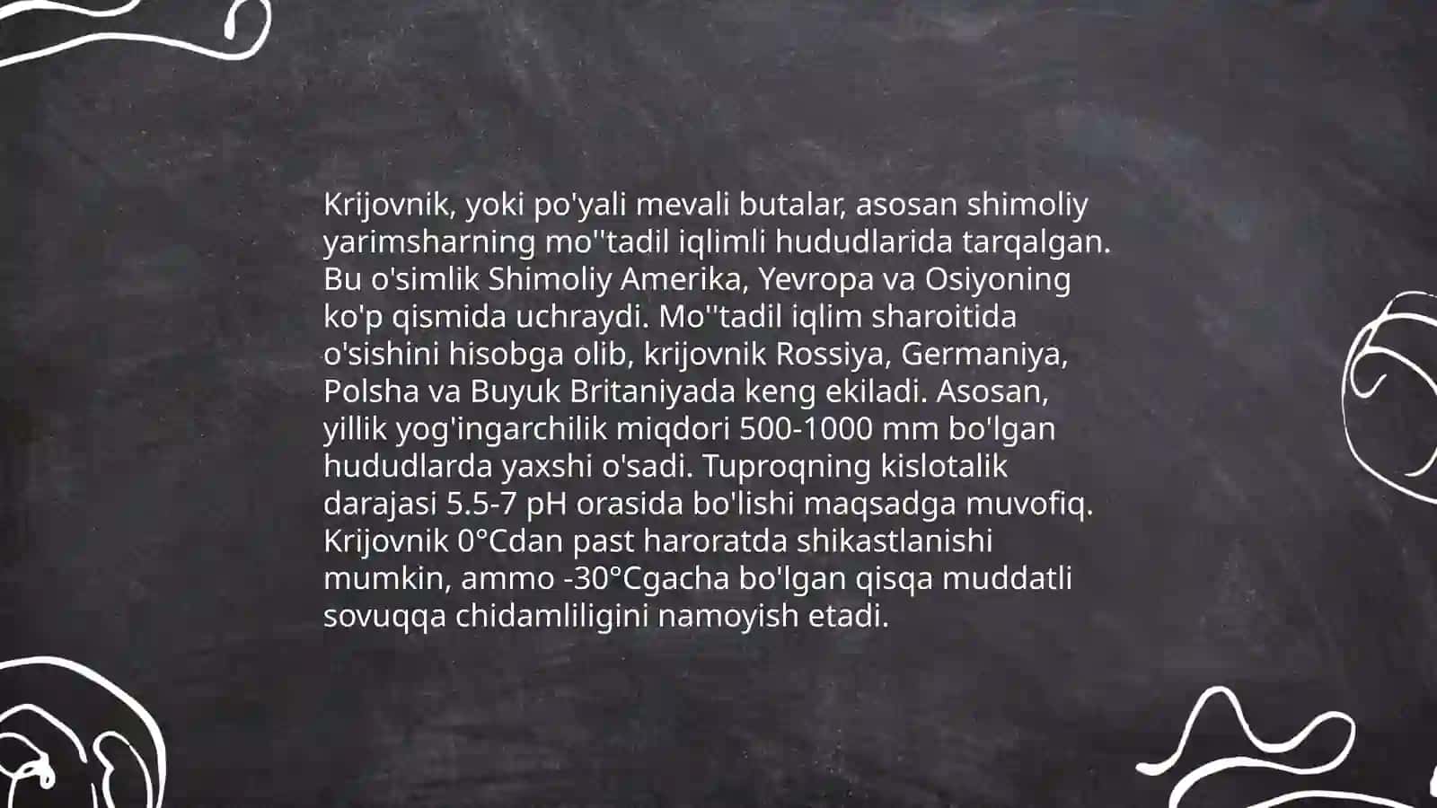 Krijovnik o‘simligi 4