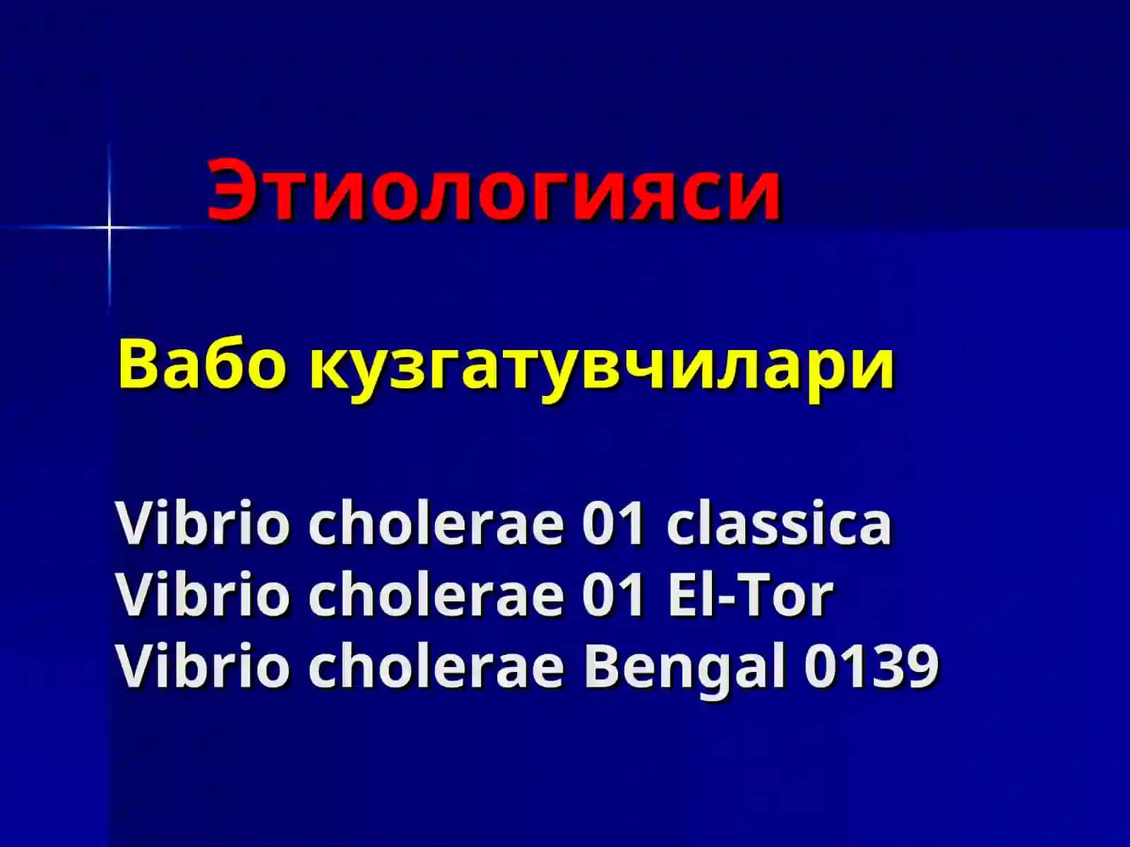 Vabо (cholera) 4