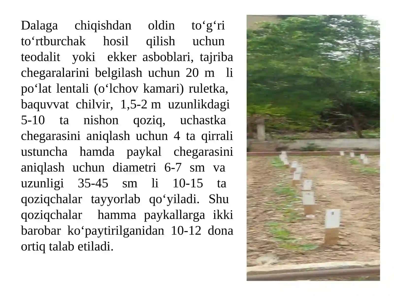 Dalaga tajriba qo‘yish texnikasi 4