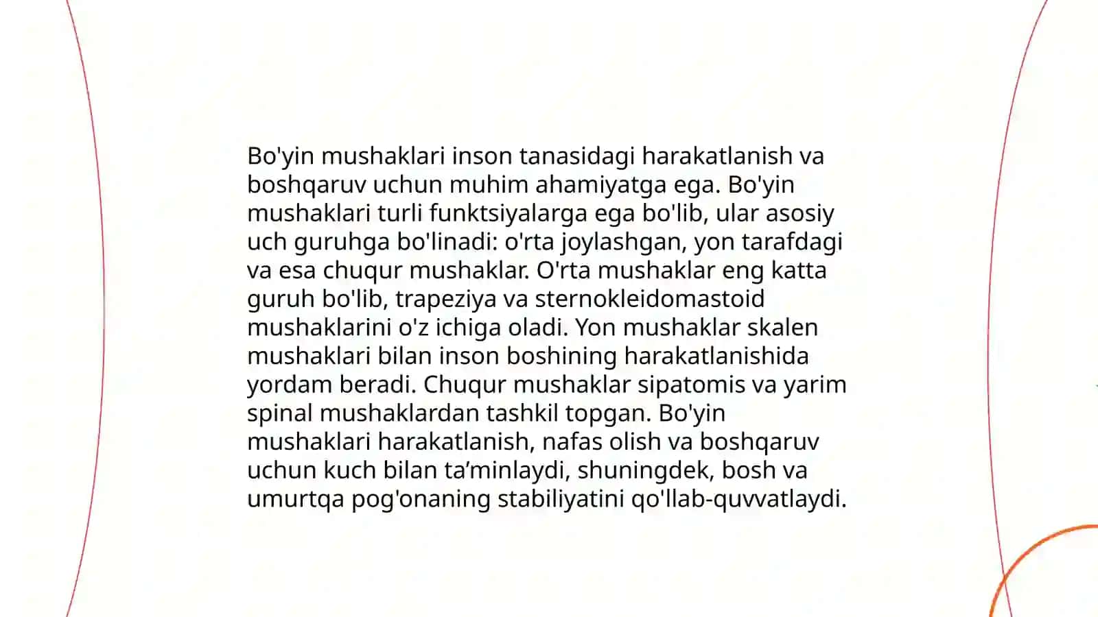 Bo'yin umurtqalari anatomiyasi 4