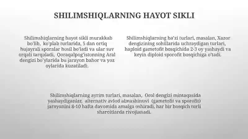 Shilimshiqlar tallomining tuzilishi 4