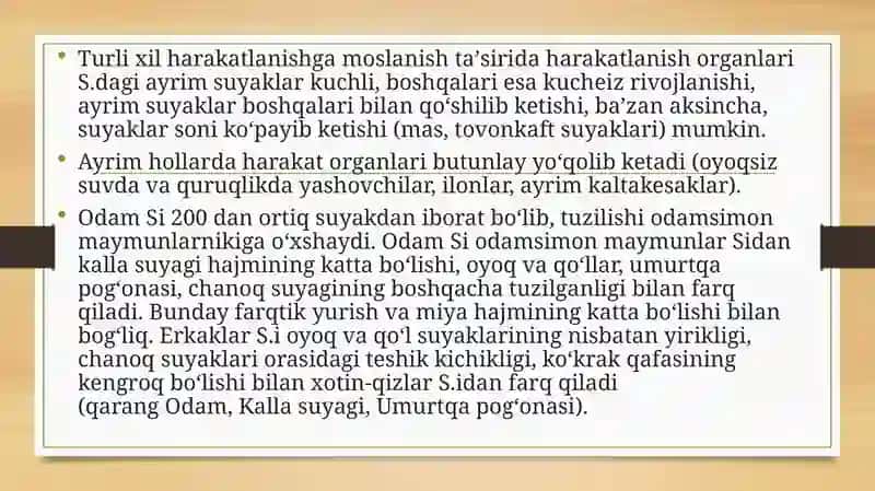 Skelet va uning bo'ylamlari haqida ta'limot 4