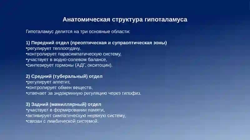 Ядра гипоталамуса и их клиническое значение 4