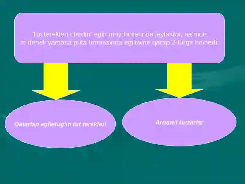 Tut teregi sortlari 4
