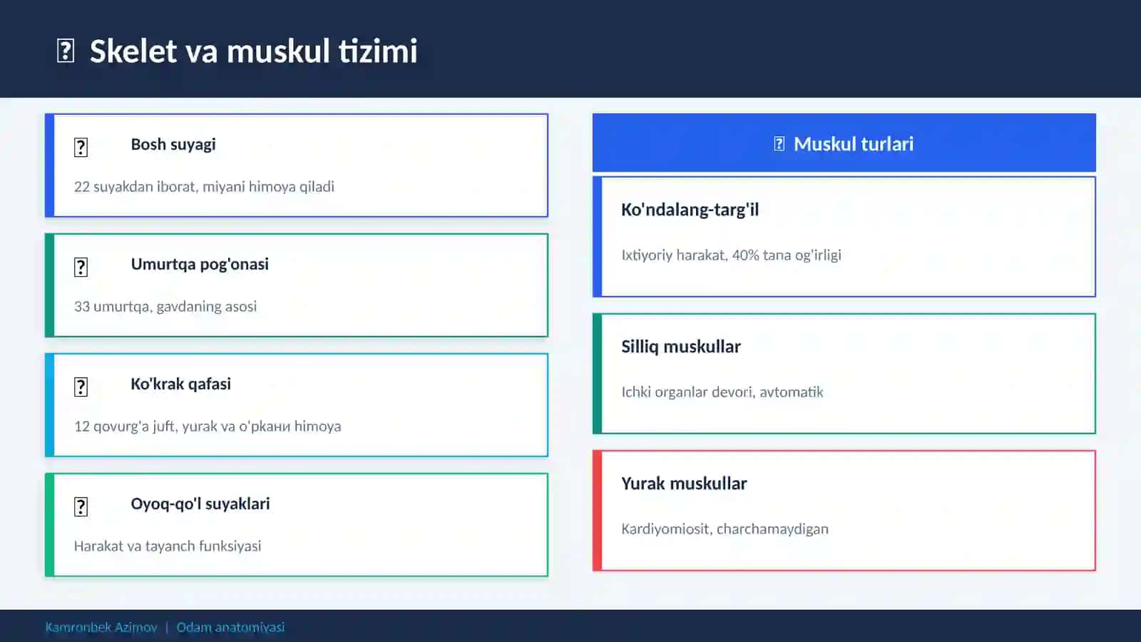 Odam anatomiyasi 4