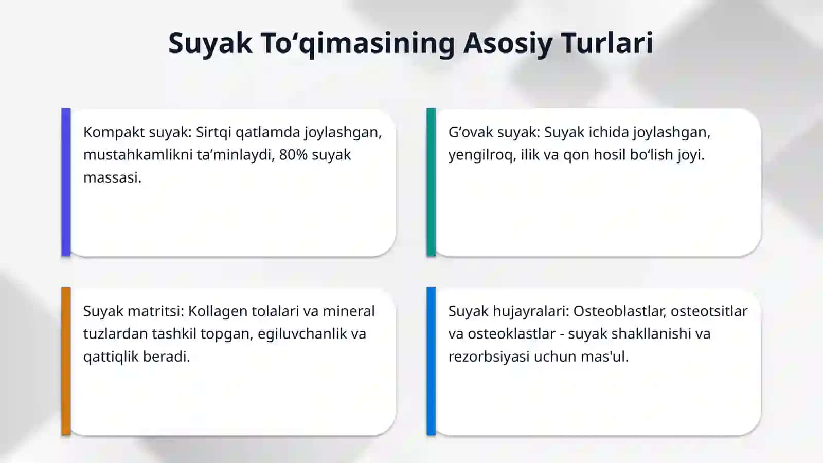 Suyak toʻqimasi 4