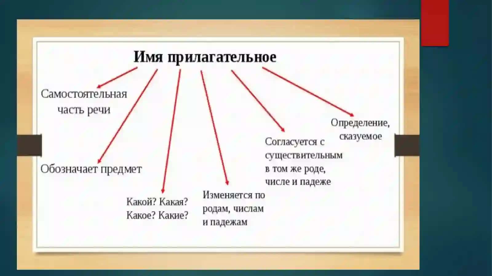 Имя прилагательное и его классификация 4