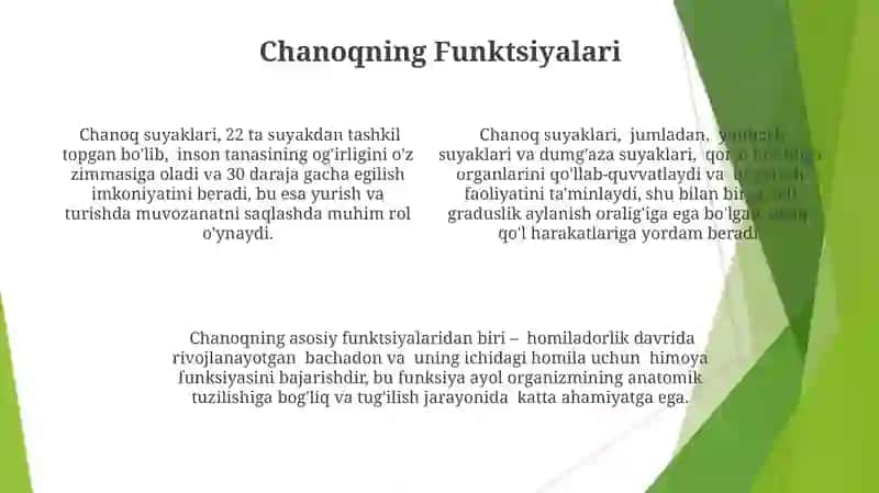 Chakka suyagi va chanoq suyaklari 4