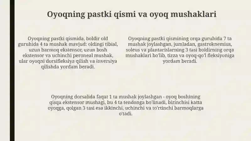 Chanoq va son mushaklari 4