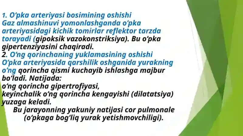 O‘pka kasalliklari va ularning yurak faoliyatiga ta’siri 4