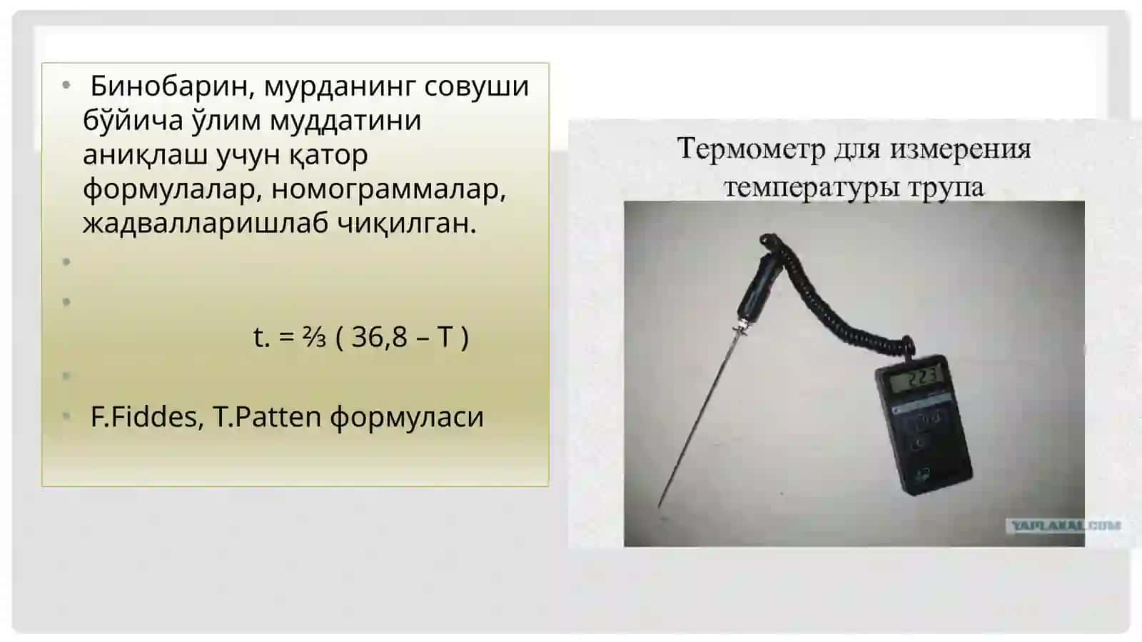 Murda o’zgarishlari asosida o’lim vaqtini aniqlash 4
