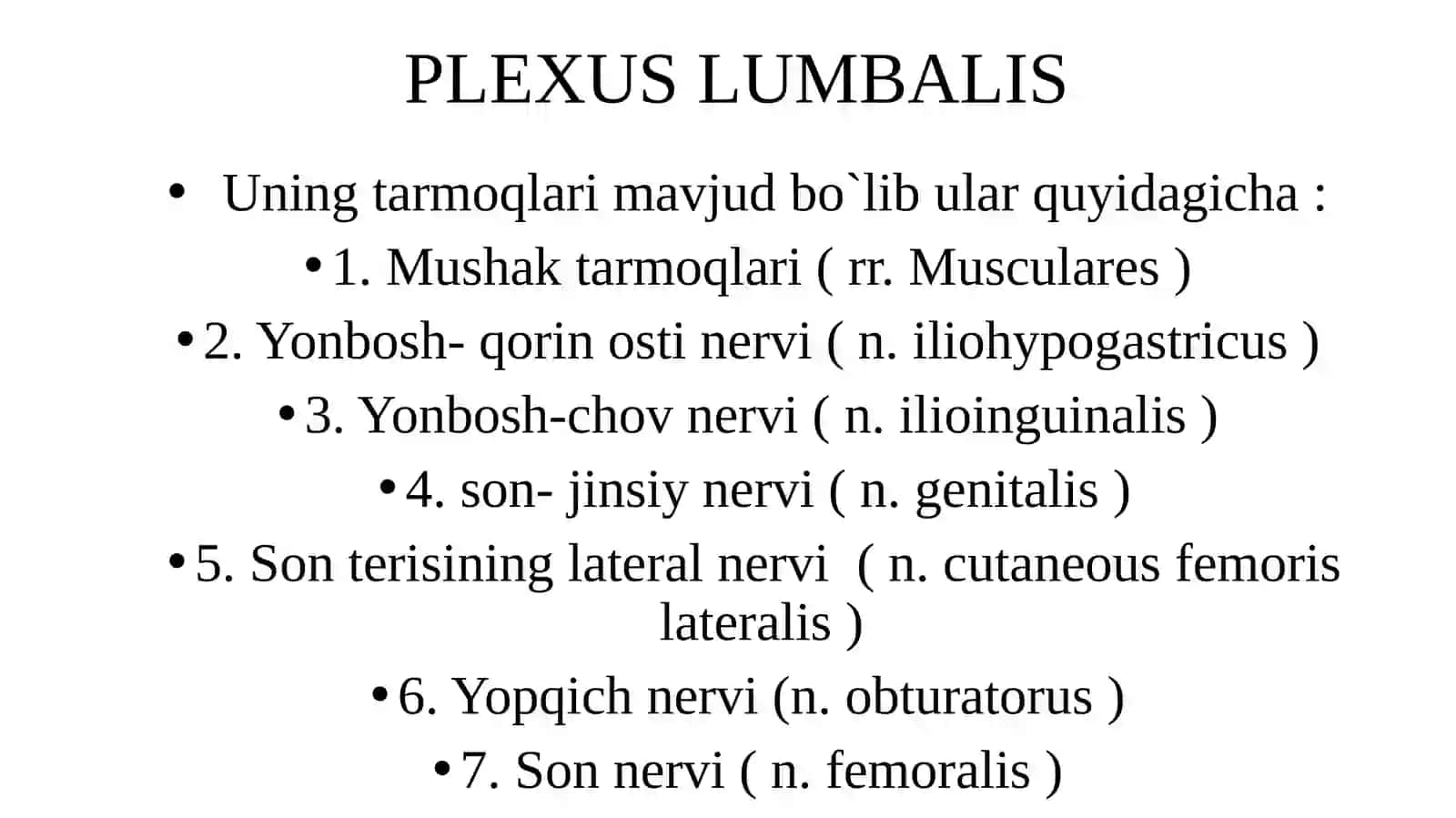 Belchigali-plexuslumbalis 4