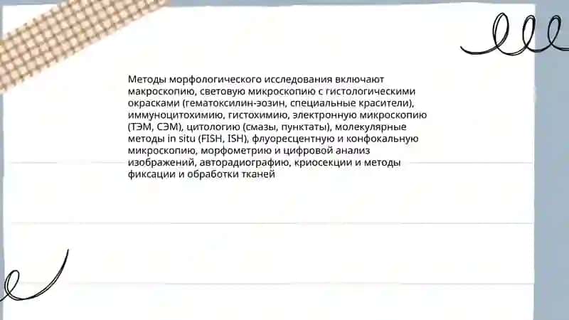 Основные вопросы морфологии 4