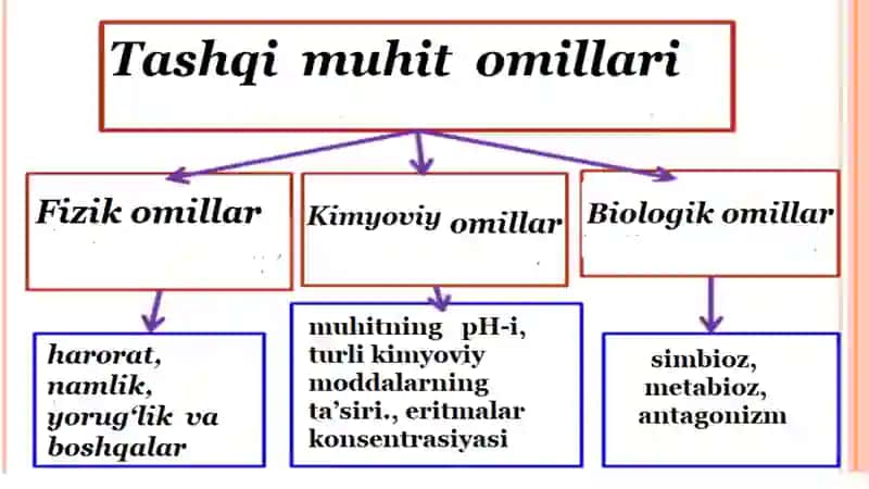 Mikroorganizmlar va ularning hayotiy faoliyati 4