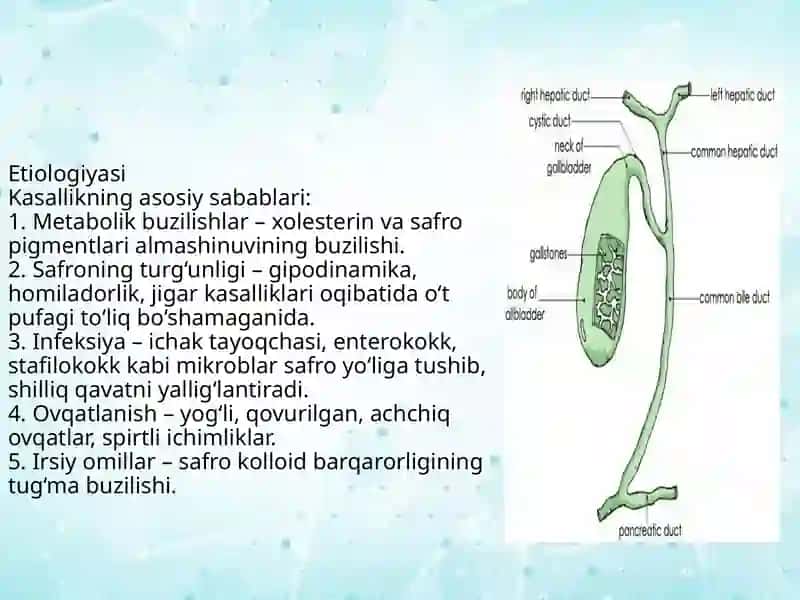 Surunkalitoshlixolesistit 4