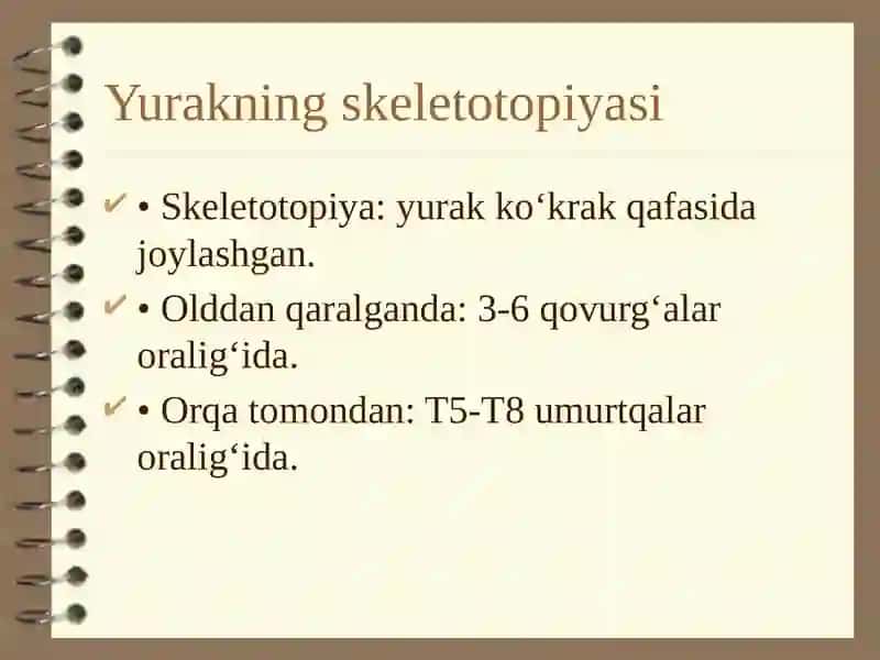 Angiologiya.Yuraktuzilishi.Topografiyasi 4