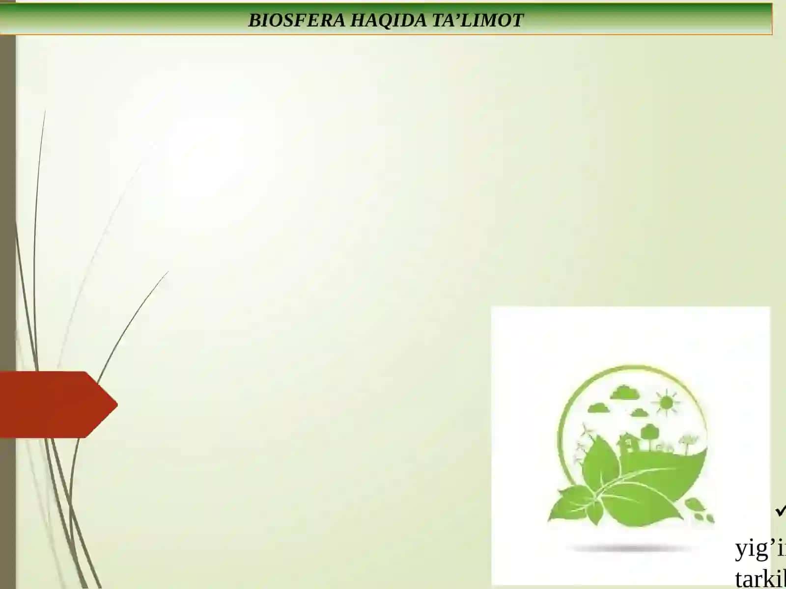 BIOSFERA VA UNING TUZILISHI 4