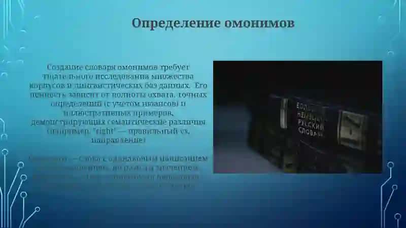 словарь омонимов 4
