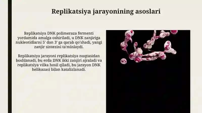 Genetikada Nomuntazam kópayish turi 4