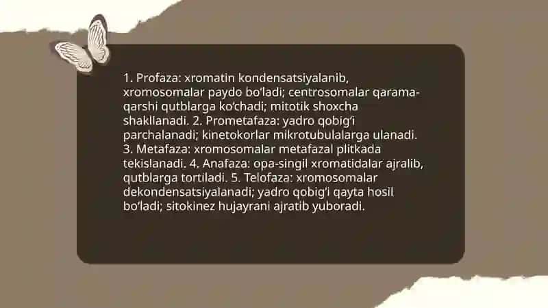 Hujayraning bõlinishi Metoz va Meyoz 4