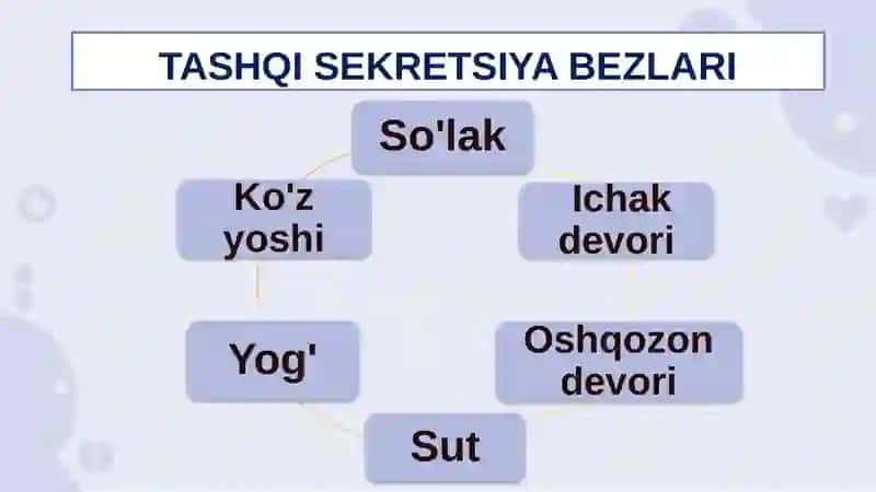SEKRETSIYA BEZLARI 4
