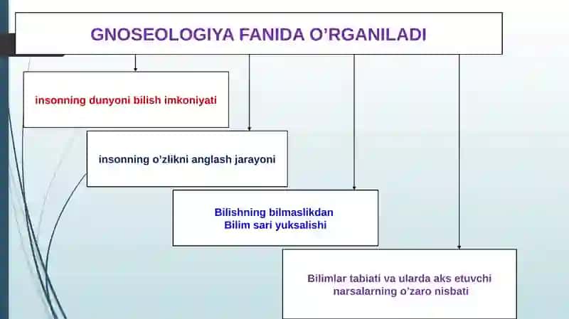BILISH NAZARIYASI: ASOSIY MUAMMOLARI VA YO’NALISHLARI 4