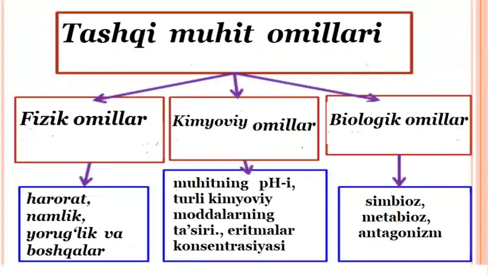 Mikroorganizmlarning hayot faoliyati 4