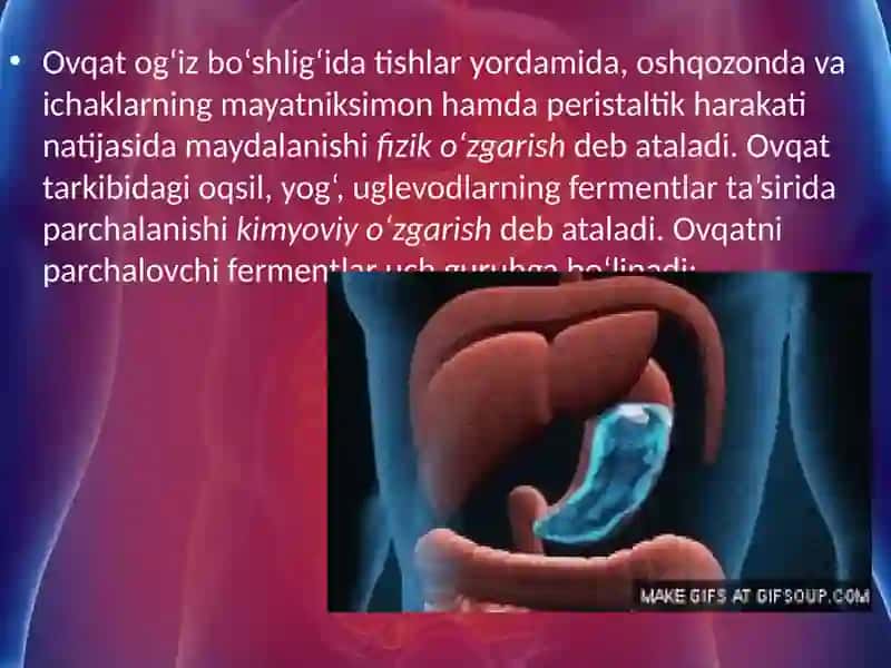 Ovqathazmqilishningahamiyati 4