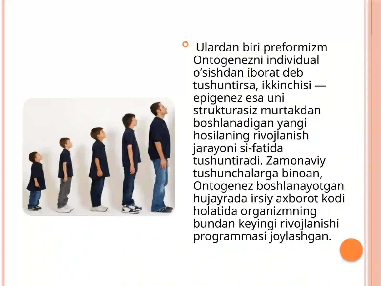 Ontogenez.Odamumriningyoshxususiyatlari 4