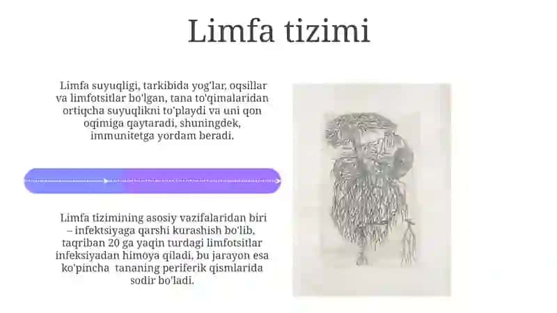 Yurak qon tomir sistemasi 4
