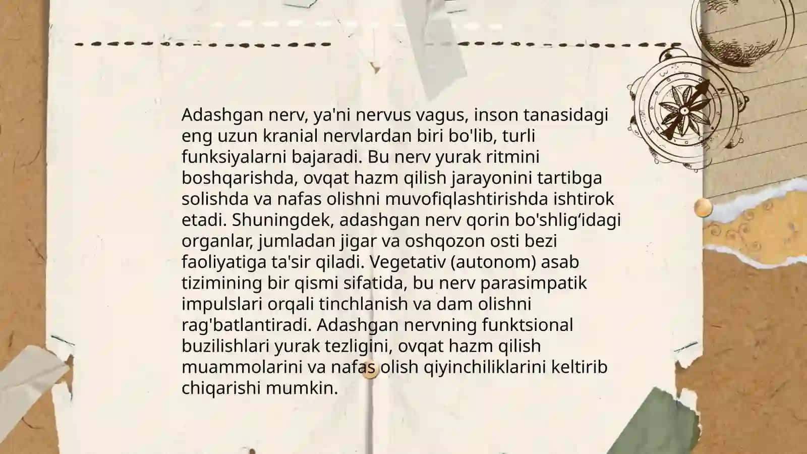 Adashgan nerv 4