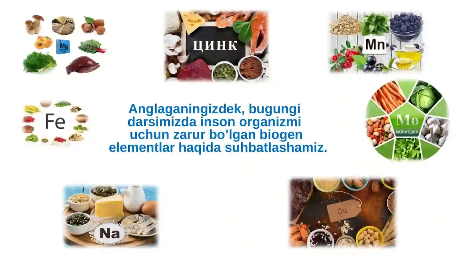 Biogen elementlar va ularning tirik organizmlardagi axamiyati 4