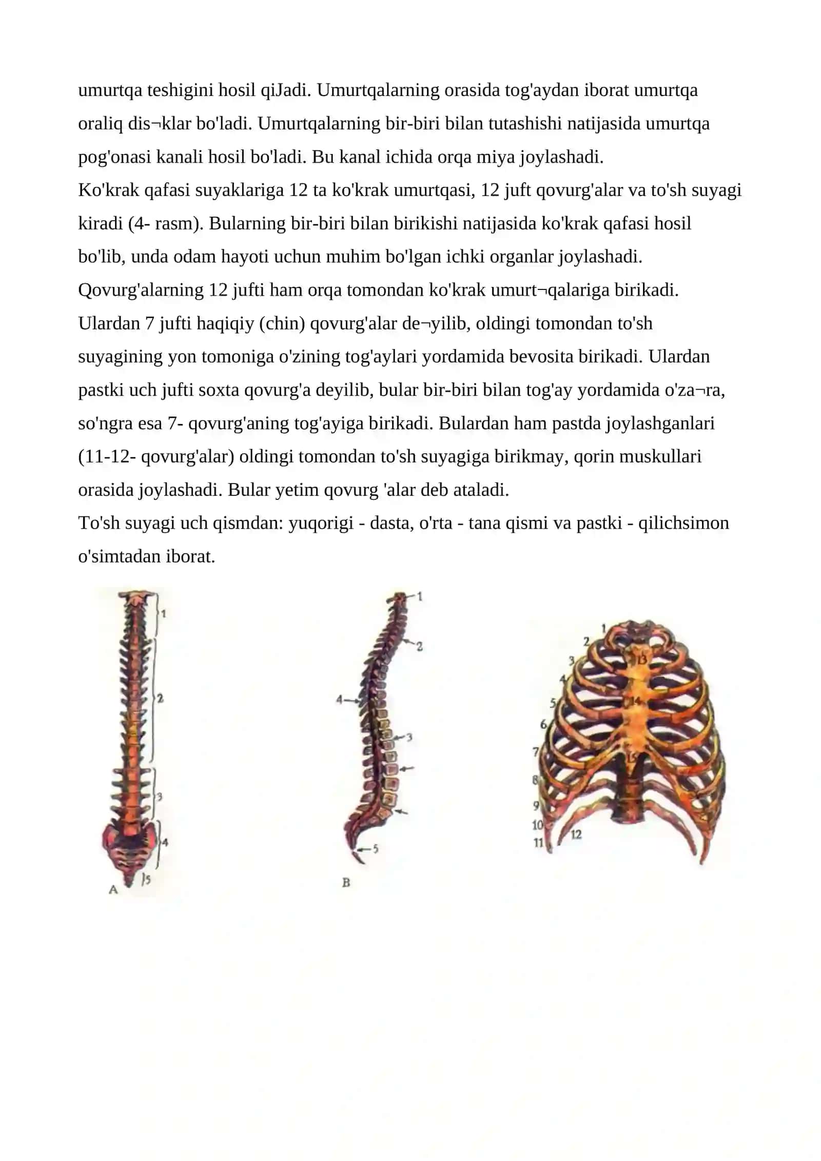 Tayanch-harakatlanish sistemasining tuzilishi 4