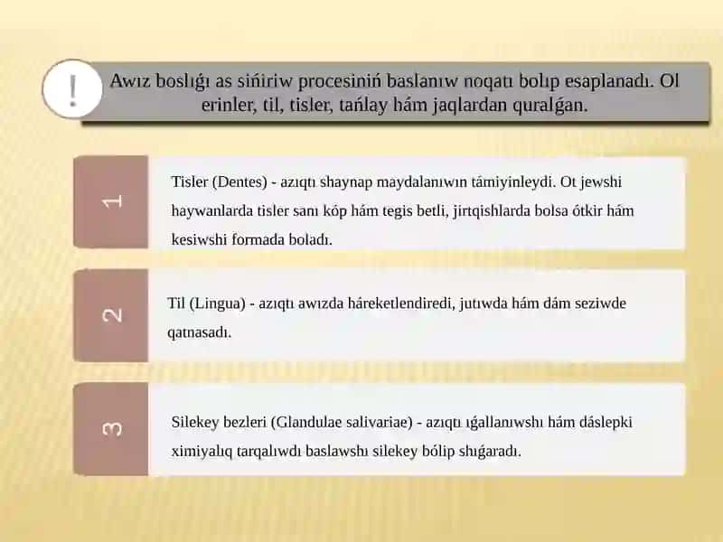 Assiniriw Sistemasi Teksirishi 4