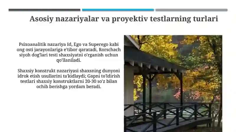 Proyektiv usullarning tarixi va rivojlanishi 4
