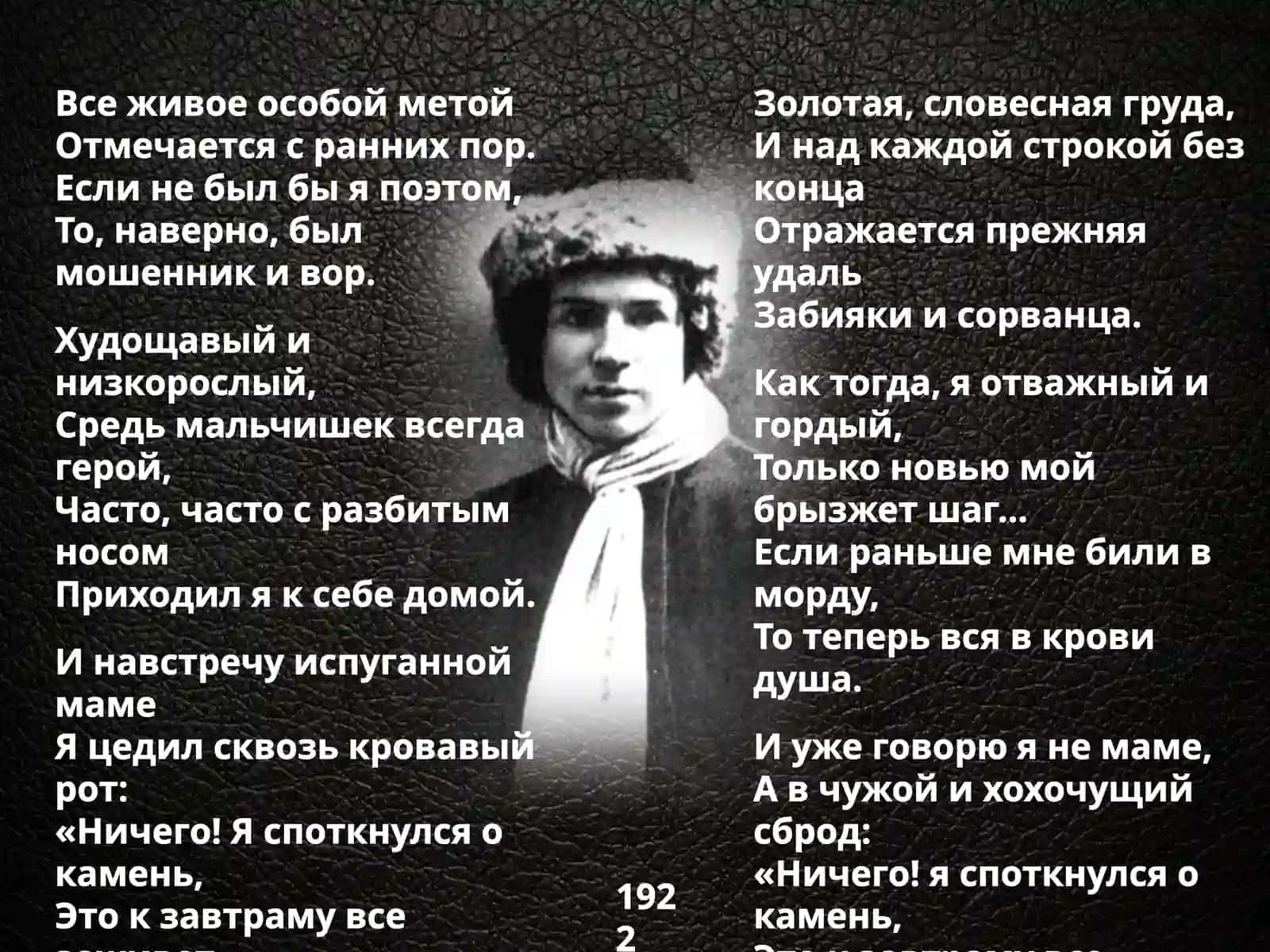 Не жалею, не зову, не плачу 4